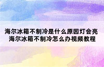 海尔冰箱不制冷是什么原因灯会亮 海尔冰箱不制冷怎么办视频教程